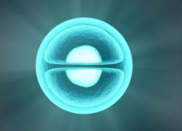 生物科技有限公司起名参考（精选500个）
