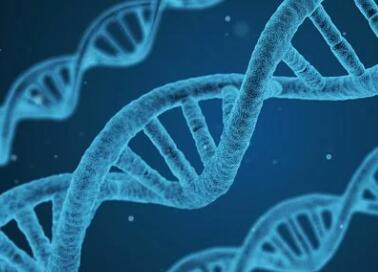 生物科技有限公司起名参考（精选500个）
