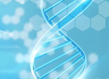 生物科技有限公司起名参考（精选500个）